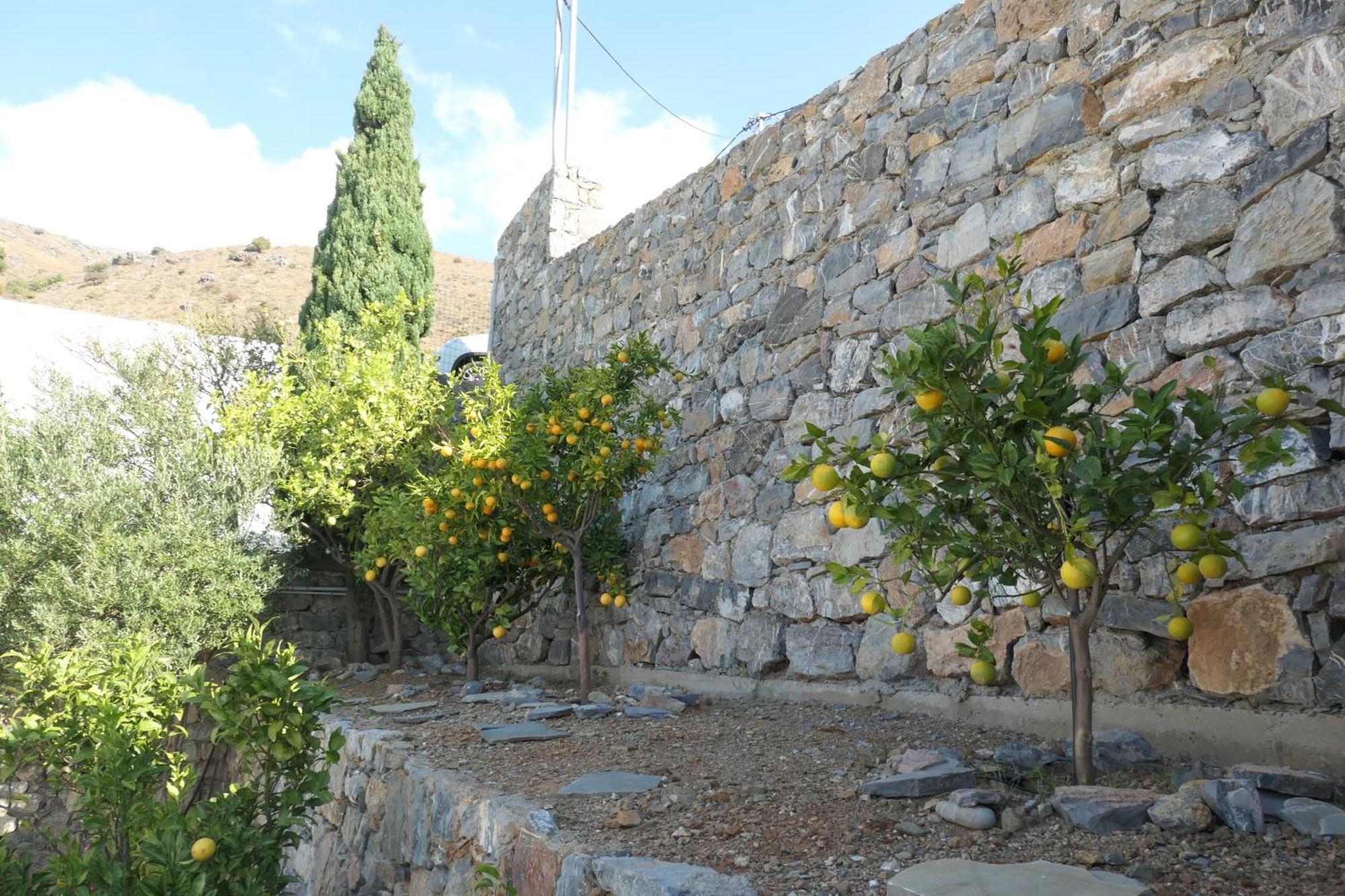 Thalassa Villa Plakias Exterior foto